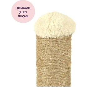 Resim Renkli Kedi Tırmalama Tahtası, Dayanıklı Ve Eğlenceli 