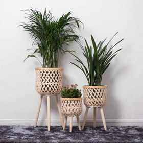 Resim İç Mekan Balkon Salonu Bitki Yeşil Turp El Dokuma Ahşap Yüksek Ayaklı Zemin Çiçek Standı 