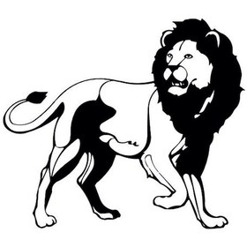 Resim Aslan Lion Folyo Sticker 50cm Uzunluk Siyah 