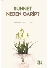 Resim Sünnet Neden Garip? - Nureddin Yıldız - Tahlil Yayınları 