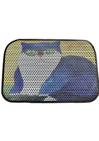 Resim Evcil Hayvan Kedi Tuvalet Önü Paspası 