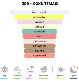Resim Bex Kadın Parfüm 50ml EDP BEX 209 Aromatik Koku ile Özgürlük İçin Bir Çağrı 