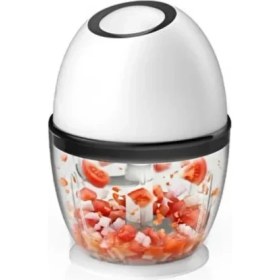 Resim Renklime Mini Elektrikli Doğrayıcı 450 ml Şarjlı Sebze Doğrama Makinesi 