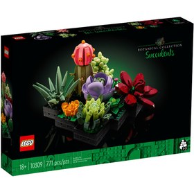 Resim Creator Sukulentler/ Succulents 10309 