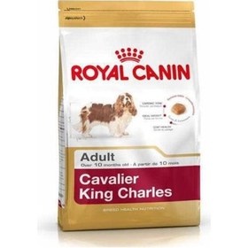Resim Royal Canin Cavalier King Charles Yetişkin Köpek Maması 3 KG 