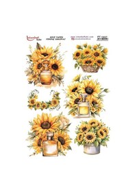 Resim Pirinç Dekopaj Kağıdı 30x42cm Pt-1457 