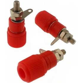 Resim Born Klemens Orta Boy Yeşil 