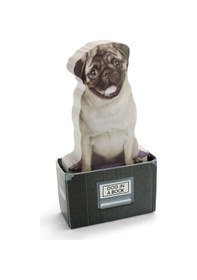 Resim Mustard Köpek Notluk 