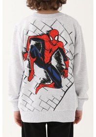 Resim Spiderman Kar Melanj Erkek Çocuk Eşofman Takımı 