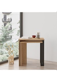 Resim Robin Home Lidya 2'li Zigon Sehpa Yan Sehpa Metal Ayaklı Sepet 