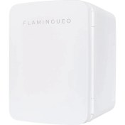 Resim Flamingueo Eli Taşınabilir Kozmetik Buzdolabı 10L 