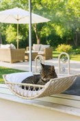 Resim Tasaryum Kedi ve Köpek El Örgüsü Vantuzlu Cam Yatağı, Kedi Hamağı Krem 