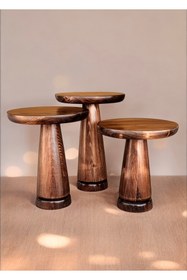 Resim AYLESA Ahşap 3’lü Set Mantar Yan Sehpa Modern Ceviz Renk Fiskos Zigon Çiçeklik 