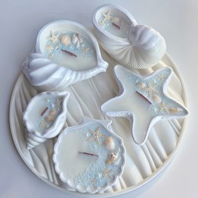 Resim Conch Denizyıldızı Kabuklu Saksı Çiçek Kalıbı Sukulent Çiçek Saksısı Süs Depolama Kavanozu Alçı Reçine Çimento Kalıp, Kendin Yap Alçı Çimento Mum Bardağı Conch Denizyıldızı Kabuğu Okyanus Tarzı Ayna Silikon Kalıp Yaratıcı Süs 