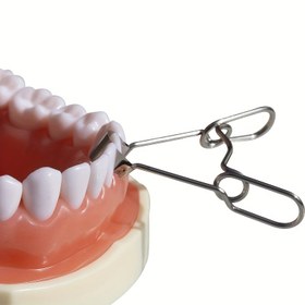 Resim Paslanmaz Çelik Otomatik Diş Şekillendirme Klipsi - Diş Hekimliği ve Hijyenistler için Ergonomik Hassas Alet, Dayanıklı Metal Kelepçe ile Güvenli Tutuşlu Diş İşlemleri İçin 