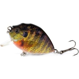 Resim Maiyame Yumuşak Yem Balık Kurdu 6cm 15g - Gerçekçi Desenli Treble Çengelli Balık Av Aletleri 