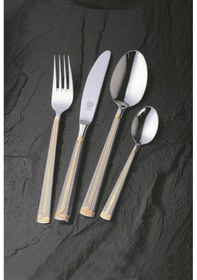 Resim Nıcole Mat Altın Solingen 96 Parça Kutulu Çatal Kaşık Bıçak Seti Altın 