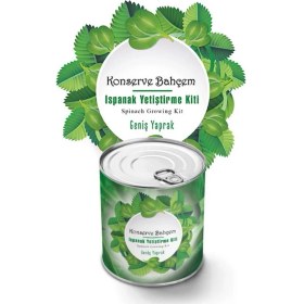 Resim Buradabuldun® Konserve Bahçem Evde Konservede Kolay Ispanak Yetiştirme Kiti 