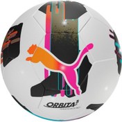 Resim Puma Orbita 5 Tb Hardground Unisex Futbol Topu Beyaz 