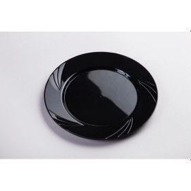 Resim Kristal Plastik Lüks Sert Tabak Siyah 23 Cm 6 Adet 