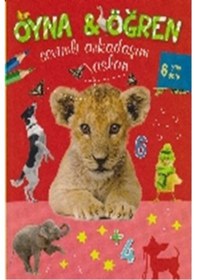 Resim Oyna - Öğren Sevimli Arkadaşım Aslan - 6 Yaş Üstü- Parıltı Yayınları 