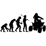 Resim Evolution - Araç, Oto, Laptop, Duvar Uyumlu Sticker 20 8 Cm 