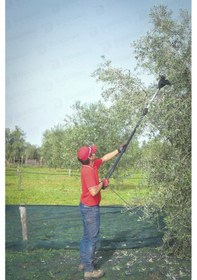 Resim Cıfarellı Elivo SB42S Teleskopik Akülü Zeytin Hasat Makinesi 