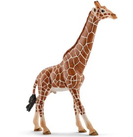 Resim Schleich Dişi Zürafa 17007 