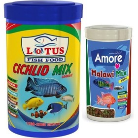 Resim Cichlid Mix 1000ml ve Malawi Mix Chips 250ml Akvaryum Balık Yemi 