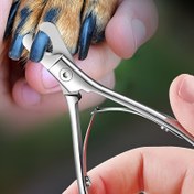 Resim 1 adet Paslanmaz Çelik Evcil Hayvan Tırnak Makası - Köpekler ve Kediler için Manikür Taşlama Bakım Aracı, Dayanıklı ve Hijyenik, Pil Gerektirmez, Evcil Hayvan Bakımı Temel Ürünleri | Paslanmaz Çelik Yapı | Dayanıklı Evcil Hayvan Aracı, Evcil Hayvan Tırnak Makası 