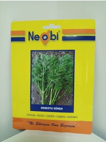 Resim Neobi Gönen Dereotu Tohumu 10 Gr 1 Adet 