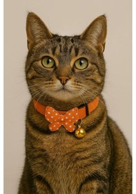 Resim Mıt Kedi Boyun Tasması Kelebekli Turuncu 