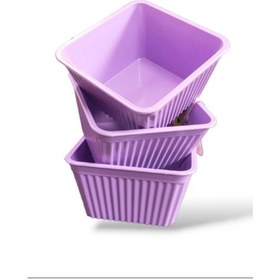 Resim 3'lü Kare Çerezlik Royaleks-540 Çok Renkli 