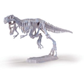 Resim Simba Dino İskelet Kazı Seti T-Rex 104342547 
