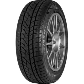 Resim Kinforest 205/55 R16 91H Winter Tire Alpin Drive Kış Lastiği (Üretim Yılı:2024) 
