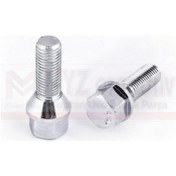 Resim Bıjon Cıvatası Clıo Megane Fluence 