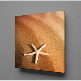 Resim Deniz Yıldızı Kanvas Tablo 130x130cm 