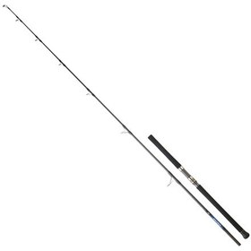 Resim Daiwa Saltiga Gt Cf 259 Cm 100-180 Gr Jig Kamış Sggt86cf 