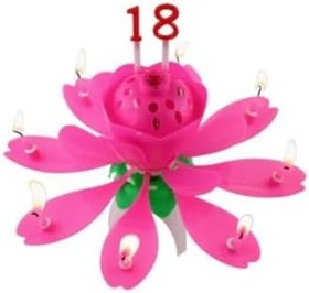 Resim Tinky Winky Pembe Renk Happy Birthday Melodili Müzikli Sihirli Kendinden Açılan Doğum Günü Pasta Parti Mum Pembe 