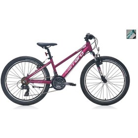 Resim Carraro Force 401 V 24" Jant 32 CM Kadro 21 Vites Kadın Dağ Bisikleti 2020 