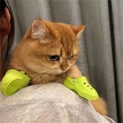 Resim Kedi Delikli Ayakkabılar Plaj Ayakkabıları Yazlık Evcil Hayvan Gezisi Köpek Terlikleri Kedi Ev Ayakkabıları Sandalet Aksesuarları 