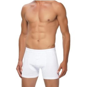 Resim Gümüş Erkek Likralı Boxer 
