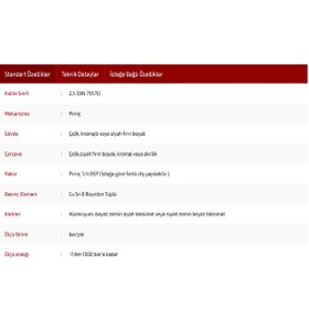 Resim SIMGA 0-6 Bar Çap Ø52 Mm Pano Tip Kuru Manometre 