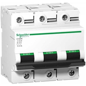 Resim Schneider Electric A9N18369 3X125A C Eğrisi C120N Devre 