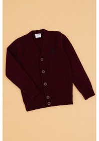 Resim U.s. Polo Assn. Erkek Çocuk Bordo Hırka Triko 50317150-vr014 Bordo 