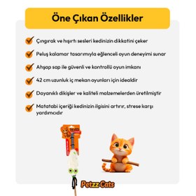Resim PetzzCats Kalamar Matatabi ve Çıngırak Sesli Kedi Oltası Oyuncağı Beyaz 42 Cm 