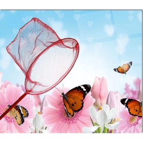 Resim Olinpa Cam Ocak Arkası Koruyucu | Kelebek 