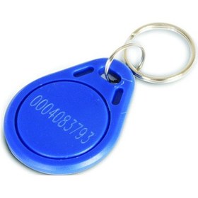 Resim P1 Proximity Anahtarlık Rfid Tag Göstergeç 125 Khz - 50 Adet 