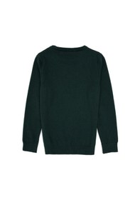 Resim U.S. Polo Assn. Erkek Çocuk Yeşil Bisiklet Yaka Basic Kazak 50315586-VR054 