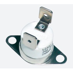 Resim FDM Silter Kazanlı Ütüler Için Porselen Sigorta 260 °c 